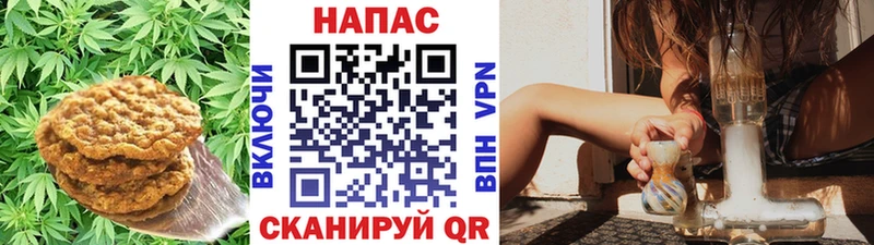 цены наркотик  Уяр  Cannafood конопля 
