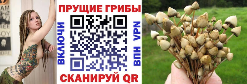 Псилоцибиновые грибы прущие грибы  Уяр 