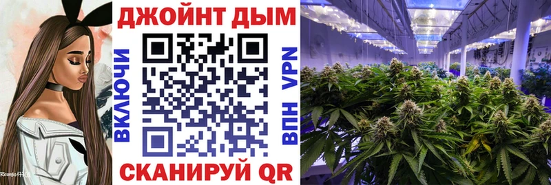 блэк спрут зеркало Уяр Марихуана семена